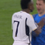 Vinicius