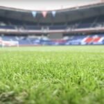 Parc des Princes1