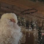 Cristiano Ronaldo avec le Père noël