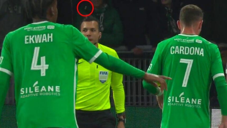 Les joueurs de l'AS Saint Etenne