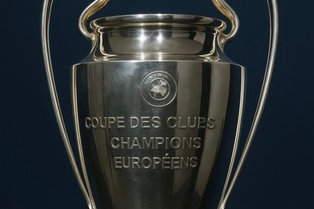 La Ligue des Champions (IA)
