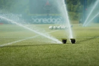 La pelouse d'un terrain de foot