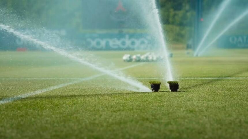 La pelouse d'un terrain de foot