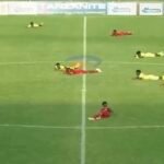 Tanzanie - un essaim d’abeilles interrompt un match amical