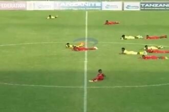 Tanzanie - un essaim d’abeilles interrompt un match amical
