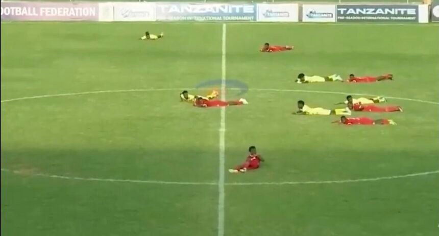 Tanzanie - un essaim d’abeilles interrompt un match amical