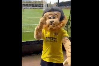 VIDEO. La mascotte de St Albans était... ivre