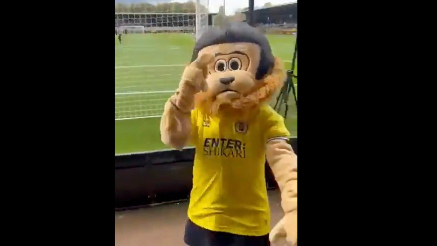 VIDEO. La mascotte de ce club anglais était… ivre