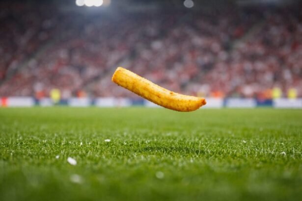 Une frite sur une pelouse